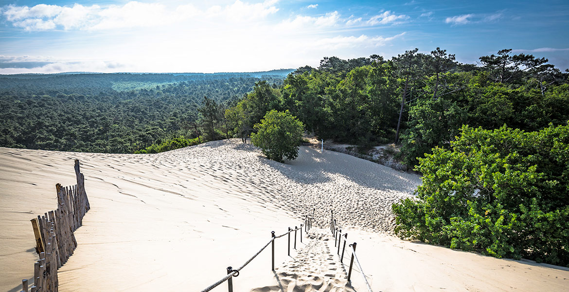 Chemin sablonneux descendant une grande dune de sable avec des arbres verts à la base et une vaste forêt en arrière-plan sous un ciel bleu partiellement nuageux.