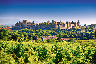 Paysage panoramique de la Cité de Carcassonne surplombant des vignobles verdoyants sous un ciel bleu lumineux.