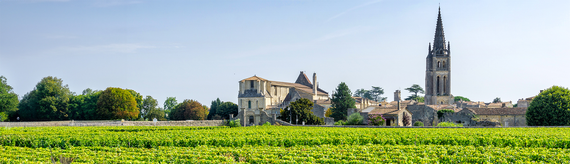 Vue sur un vignoble verdoyant avec le village de Saint-Émilion en Gironde et une église à clocher pointu en arrière-plan sous un ciel bleu légèrement nuageux.