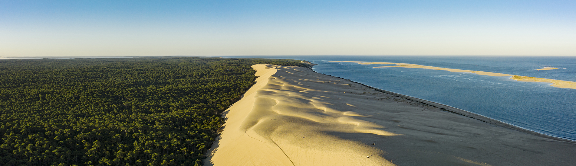 Vue aérienne de la Dune du Pilat séparant une forêt dense et une plage, avec l'océan à l'horizon sous un ciel clair.