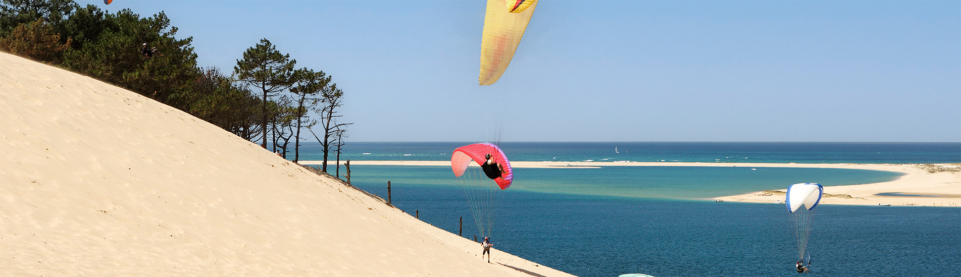Plusieurs parapentes colorés survolent la dune du Pilat, avec une vue sur l'océan Atlantique et une lagune en contrebas, entourée de pins.