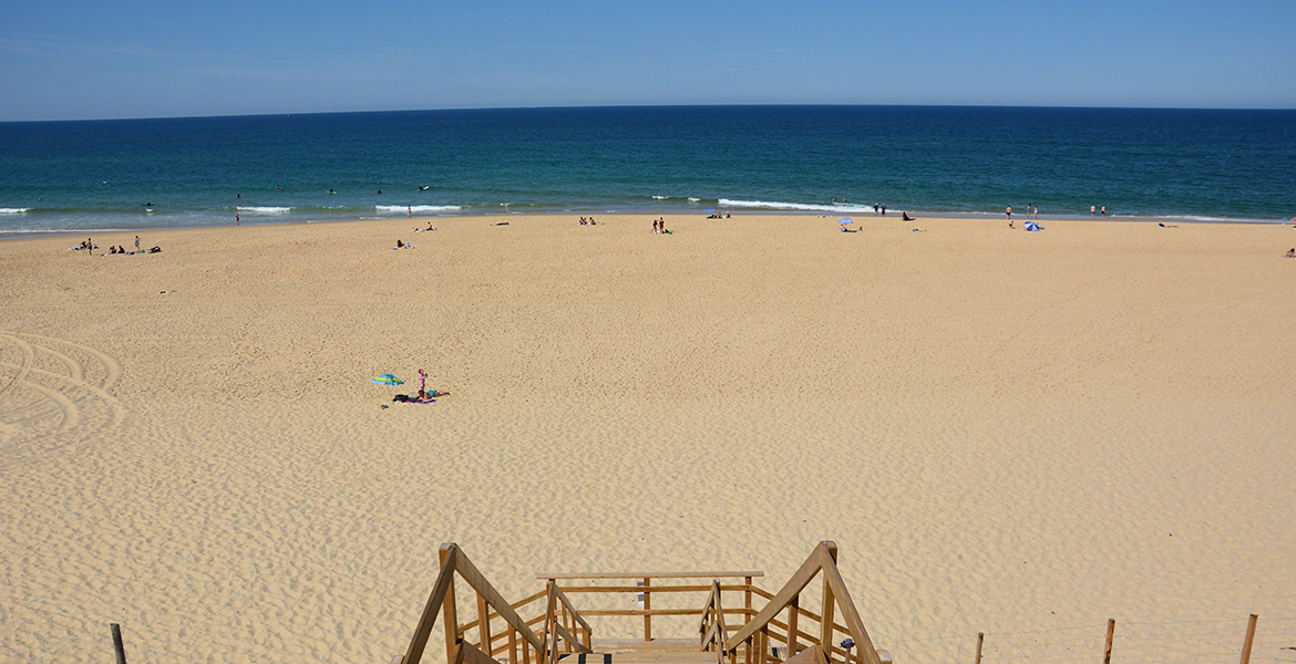 Escalier en bois menant à la plage Sud de Mimizan, bordée par l’océan sous un ciel bleu dégagé.
