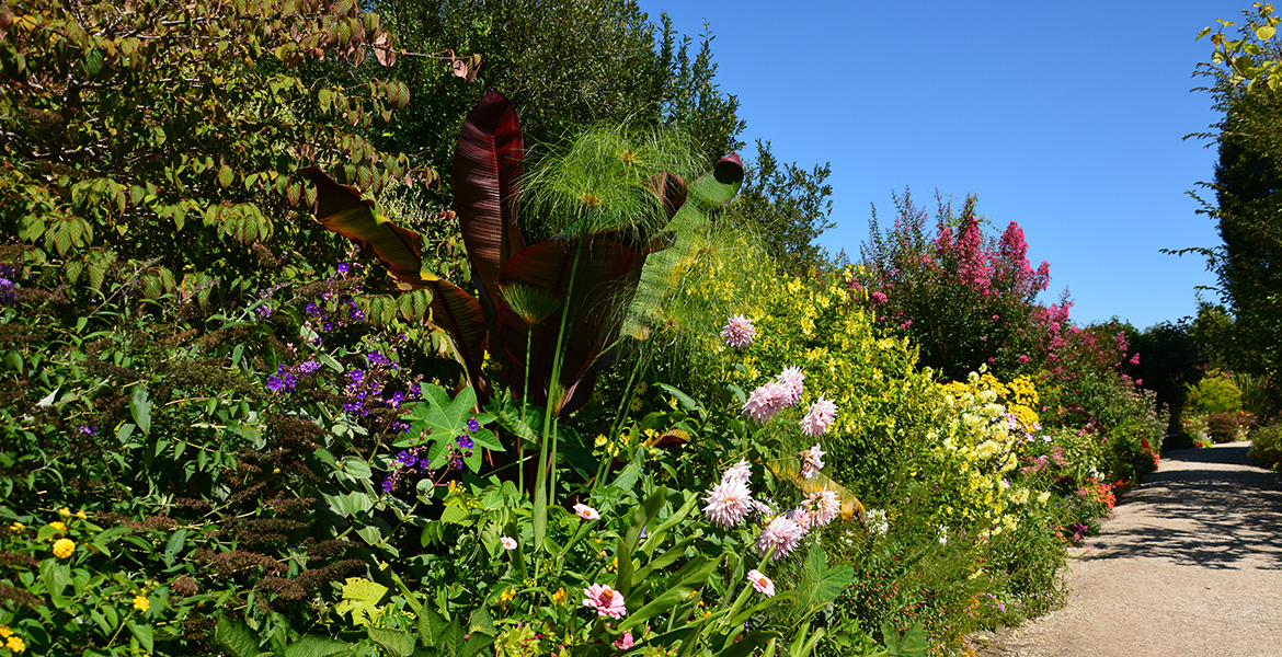 Promenade fleuries au bord du lac de Mimizan, bordé de fleurs colorées et d’arbustes en pleine floraison sous un ciel bleu éclatant.