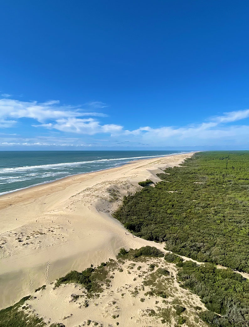 Panorama côtier avec dunes, plage et forêt, capté depuis le sommet du phare de la Coubre sous un ciel bleu.
