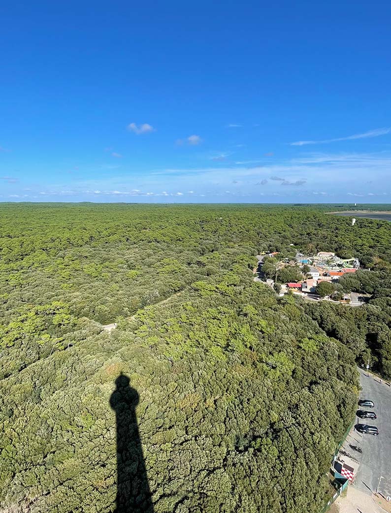 Vue plongeante sur la forêt depuis le sommet du phare de la Coubre, avec son ombre projetée au sol et le Camping Club MS La Côte Sauvage 5 étoiles visible en bordure.