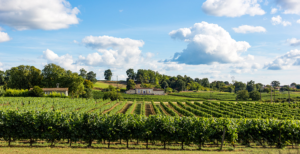 Château viticole